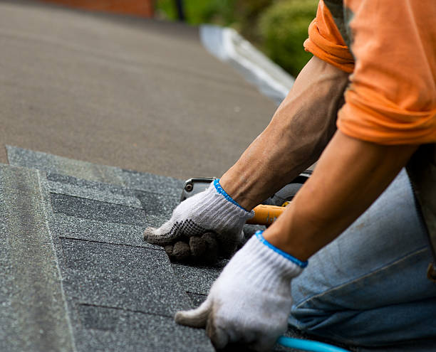 Roof Gutter Cleaning in Sheridan, CO
